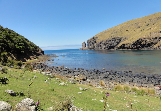 DSC00505